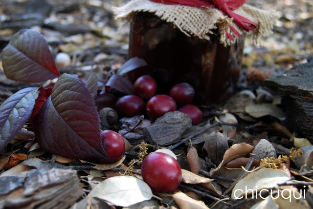 mermelada prunas chicuqui galletas decoradas 03