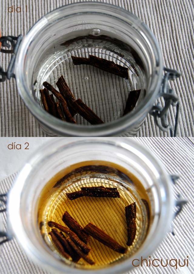 Vainilla casera galletas decoradas chicuqui 04