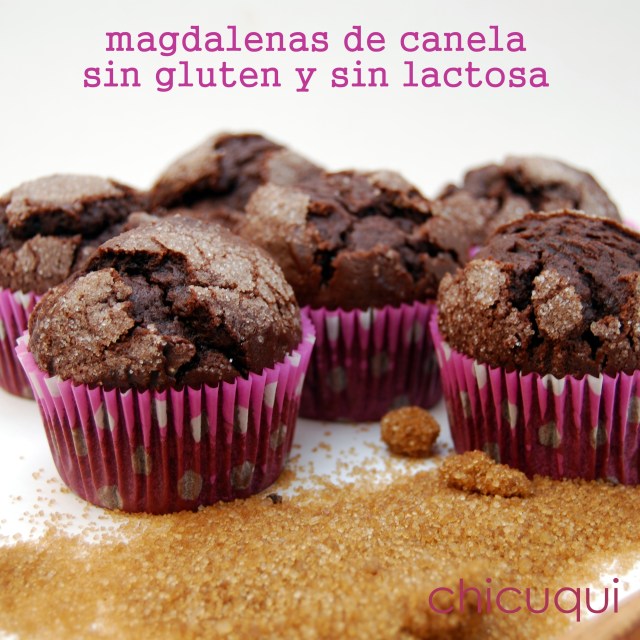 Receta de magdalenas sin gluten y sin lactosa en galletas decoradas chicuqui.com