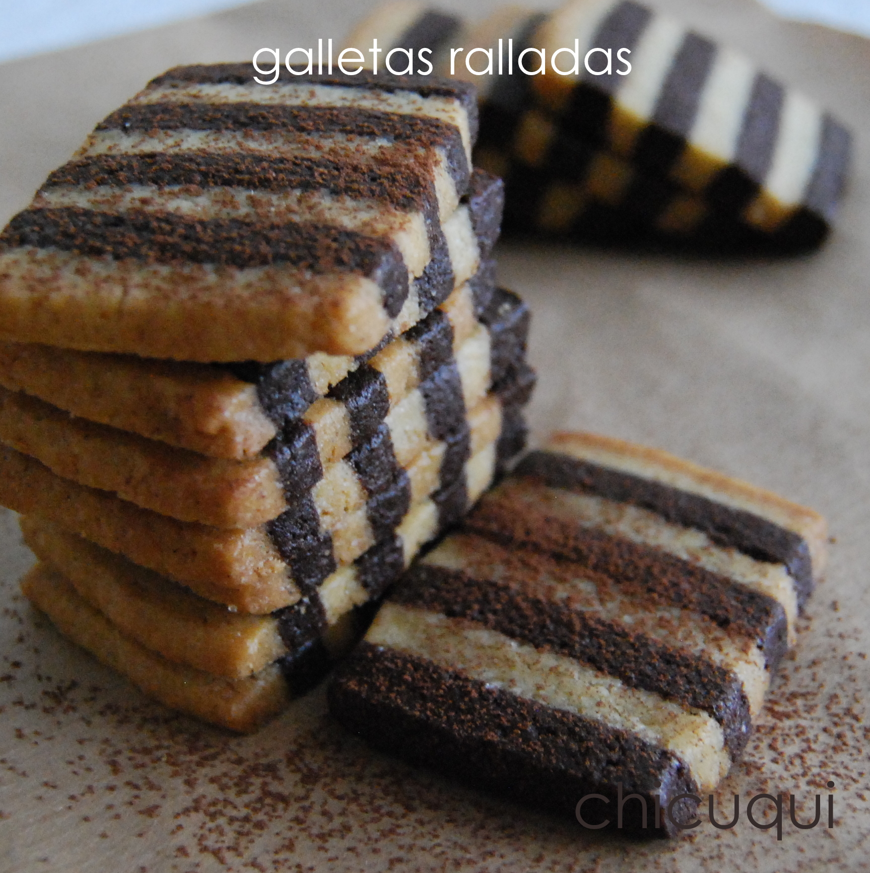 receta-de-galletas-ralladas-vainilla-y-chocolate-chicuqui.com